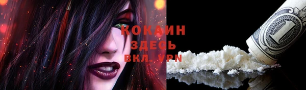 стаф Кукмор